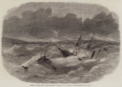 Rettung der Besatzung des Dampfers Shamrock aus Dublin durch das Rettungsboot von Lowestoft von Edwin Weedon